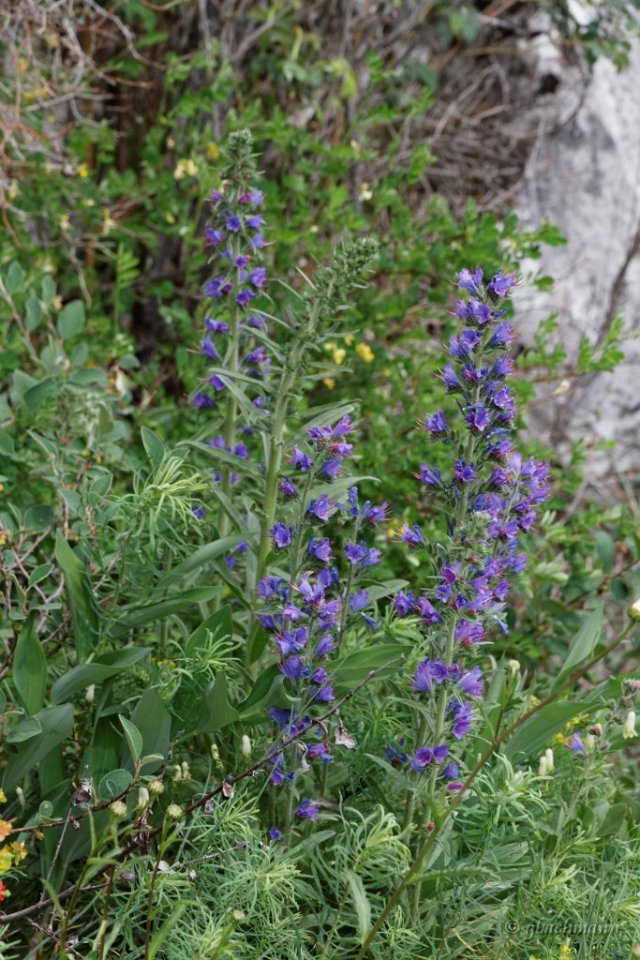 20150514_0105